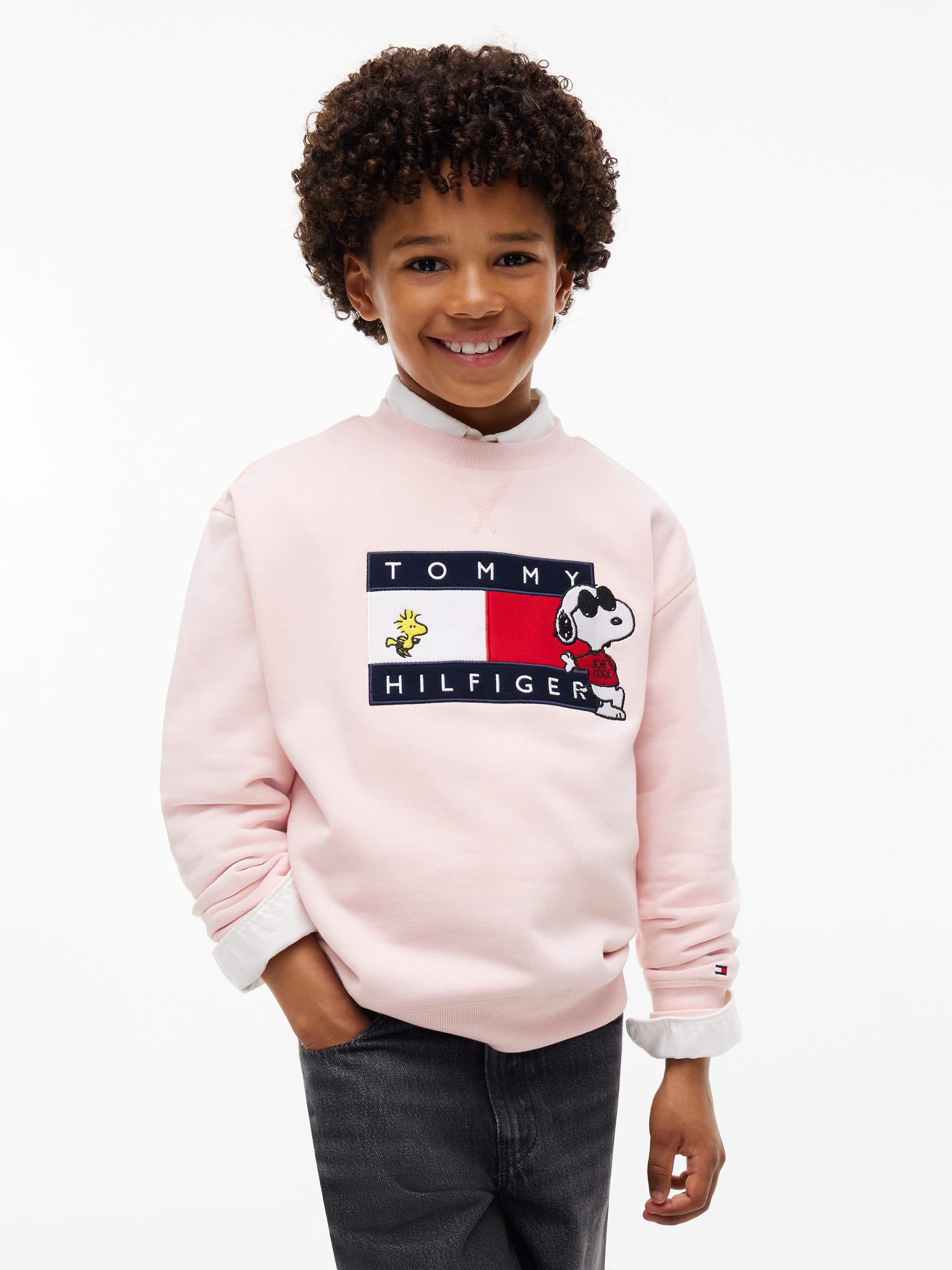 Peanuts® Flag Graphic Embroidery Jumper